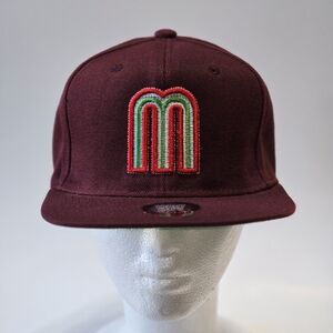 MEXICO National legue of Baseball